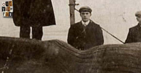 Arthur Box