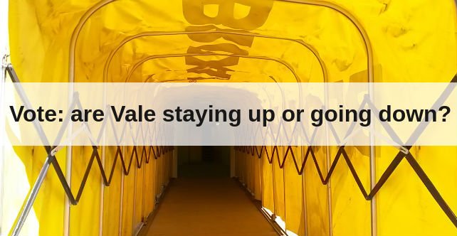 Vote: are Port Vale staying up or going down?
