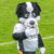 Port Vale FC mascot Boomer