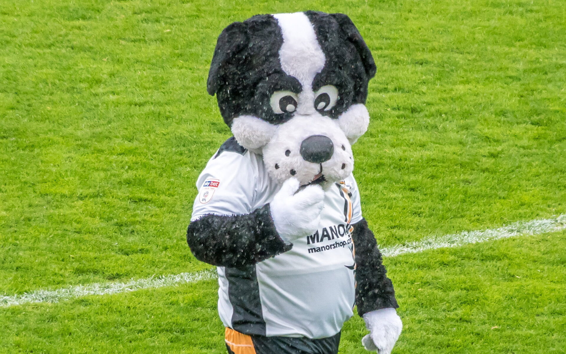 Who was the Port Vale mascot?