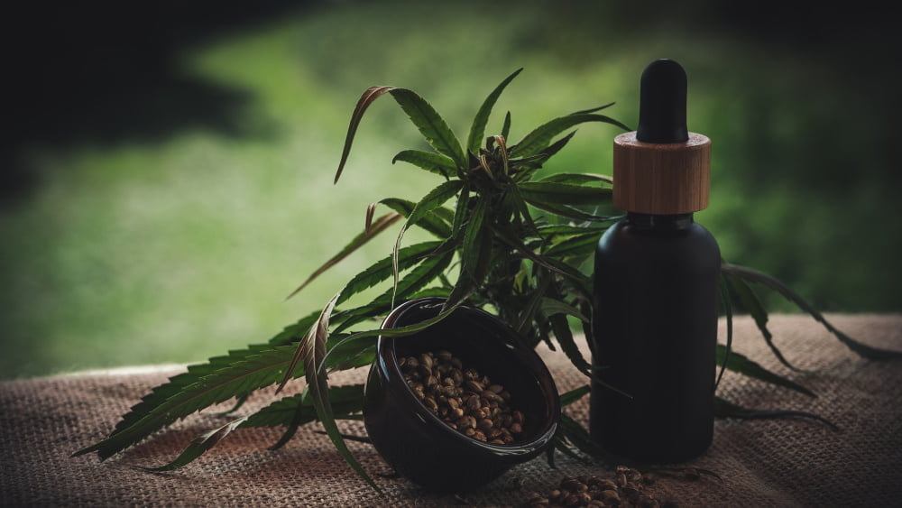 Cannabis and Recovery: How Athletes Are Embracing CBD for Healing
