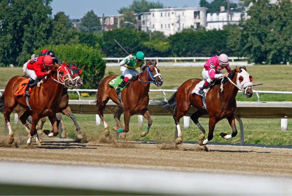 Former Football Managers Bidding for Grand National Glory