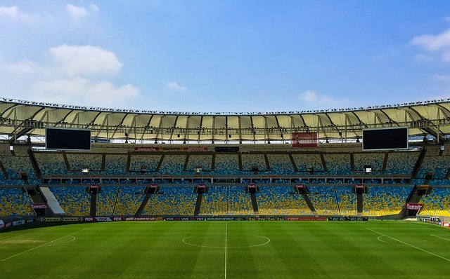 From Stadium Selfies to Stunning PFPs: Upgrading Your Online Fan Presence