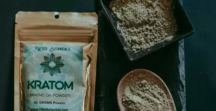 Types Of Kratom Strains: Which One Is Right For You?
