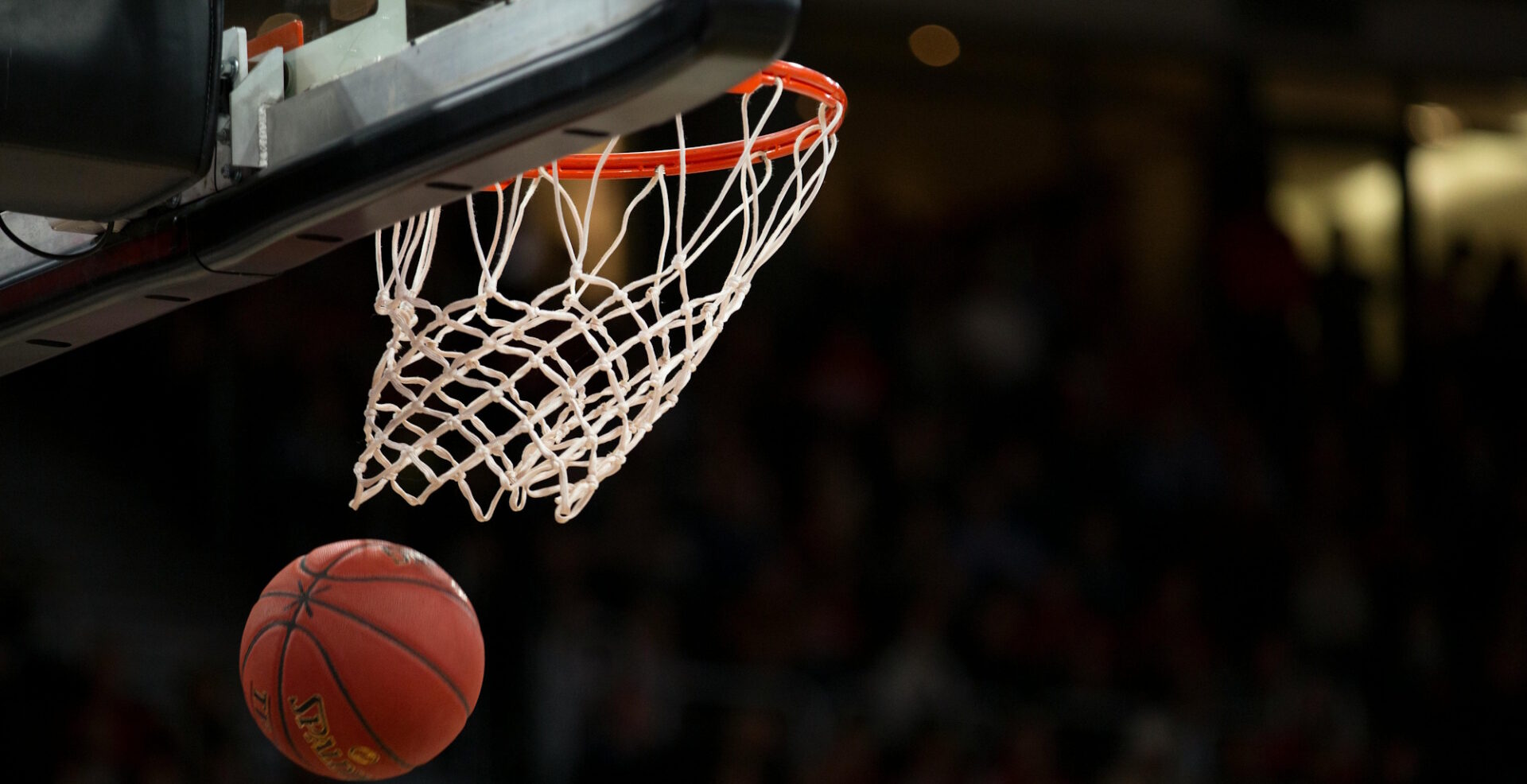 Top NBA Stars and Their Impact on Betting Odds