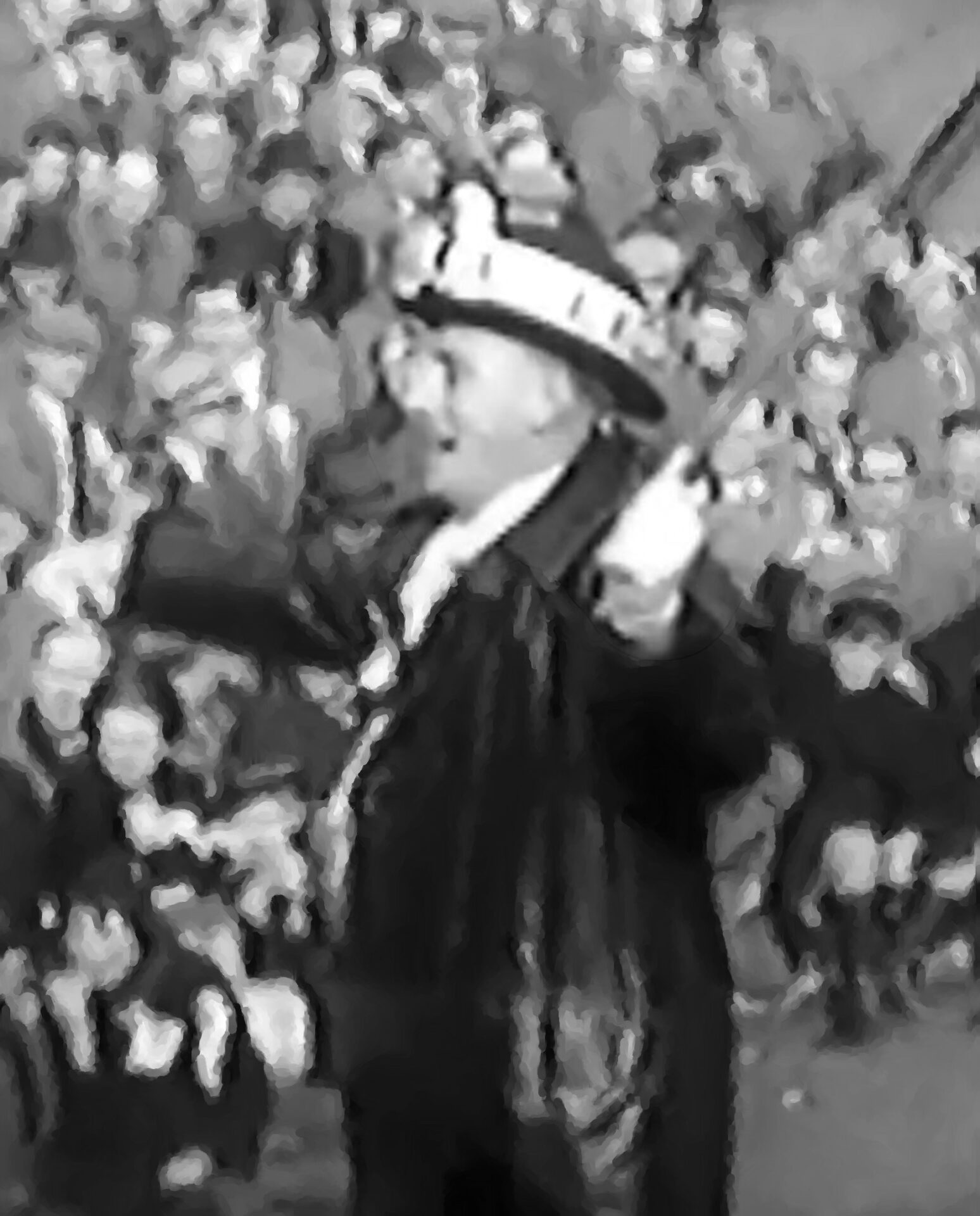 The Port Vale mascot