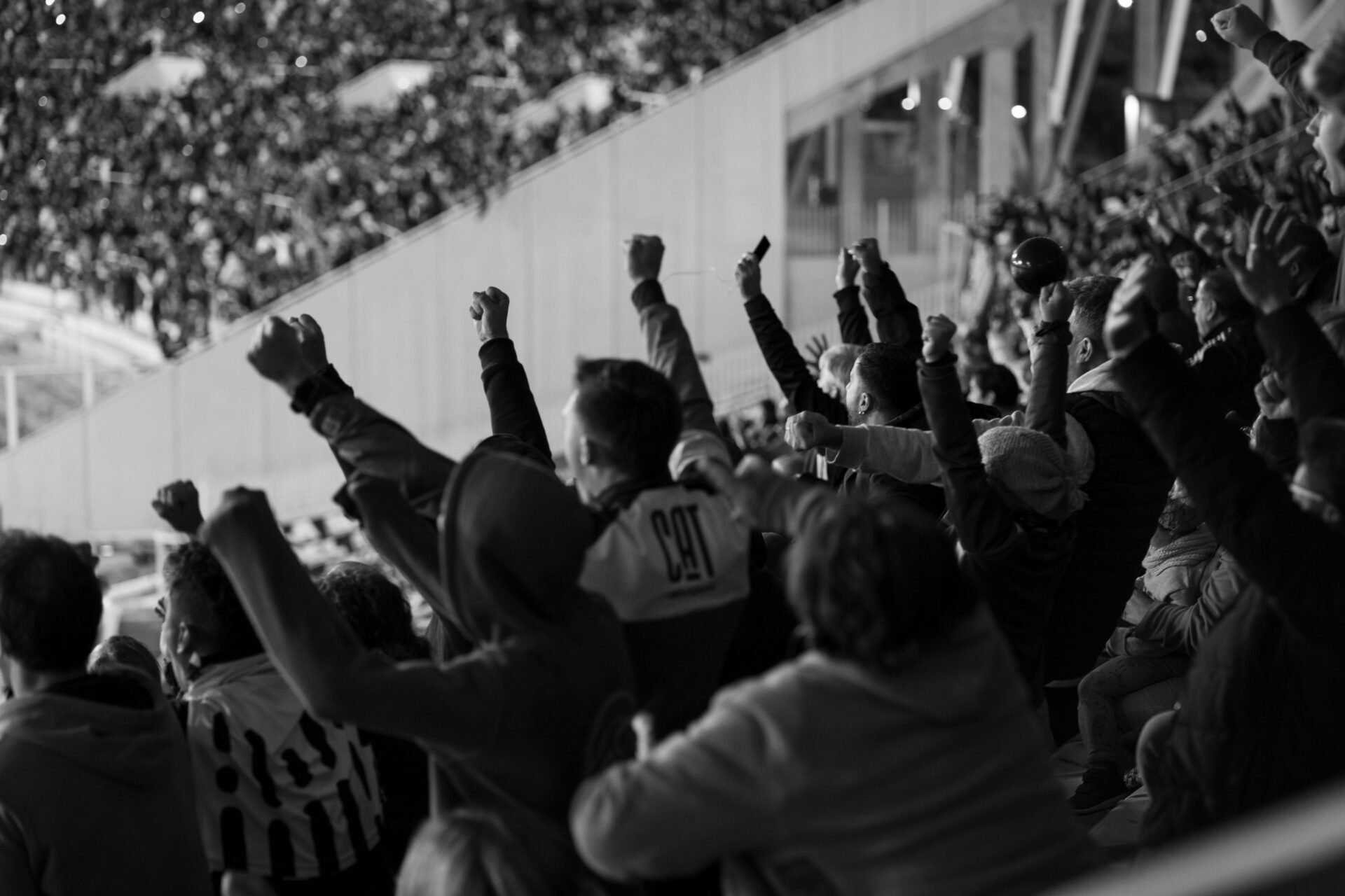 Photo by Tomás Asurmendi: https://www.pexels.com/photo/excited-football-fans-in-cordoba-stadium-31514419/